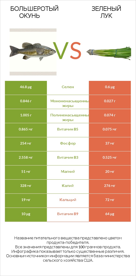 Большеротый окунь vs Зеленый лук infographic