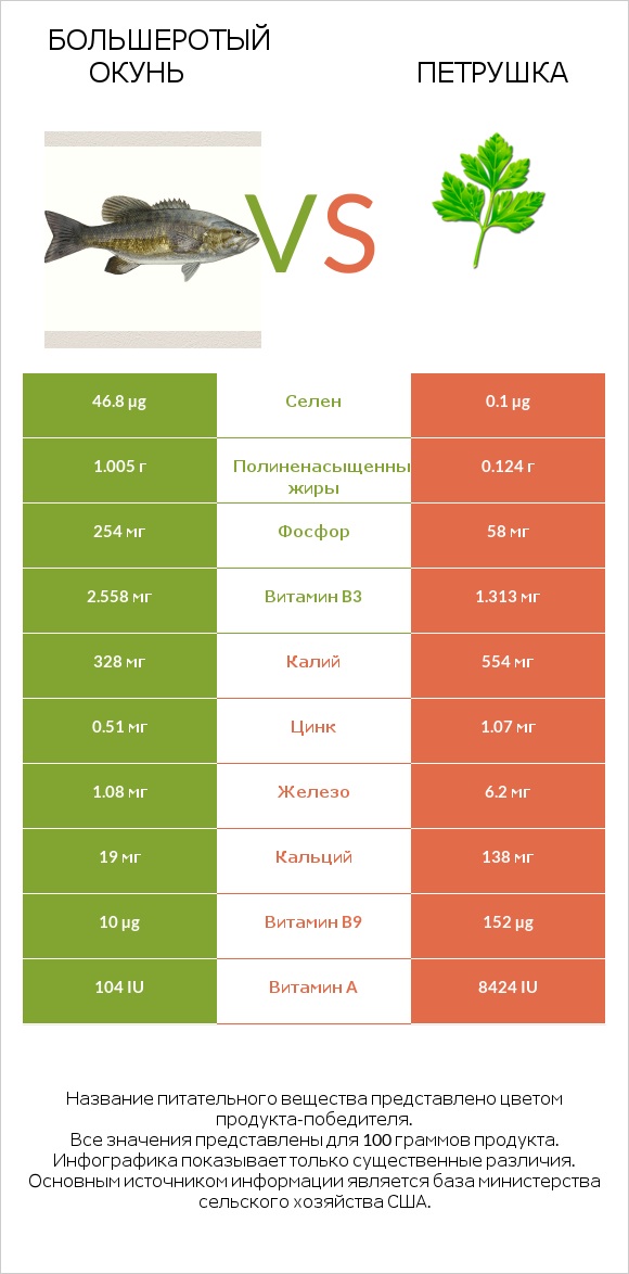 Большеротый окунь vs Петрушка infographic