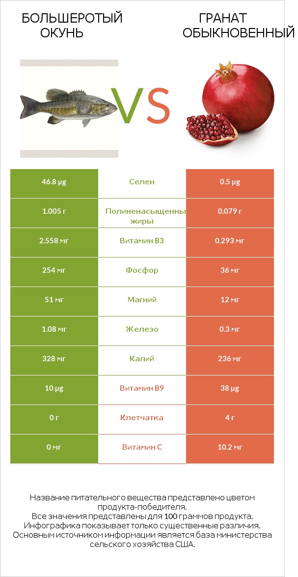 Большеротый окунь vs Гранат обыкновенный infographic