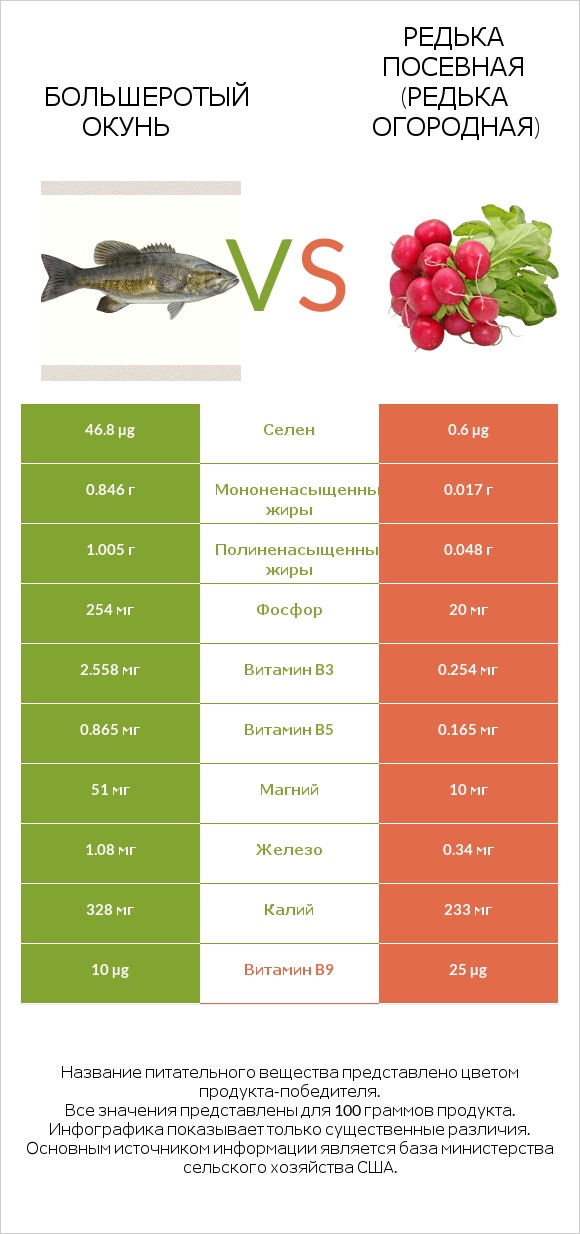 Большеротый окунь vs Редька посевная (Редька огородная) infographic