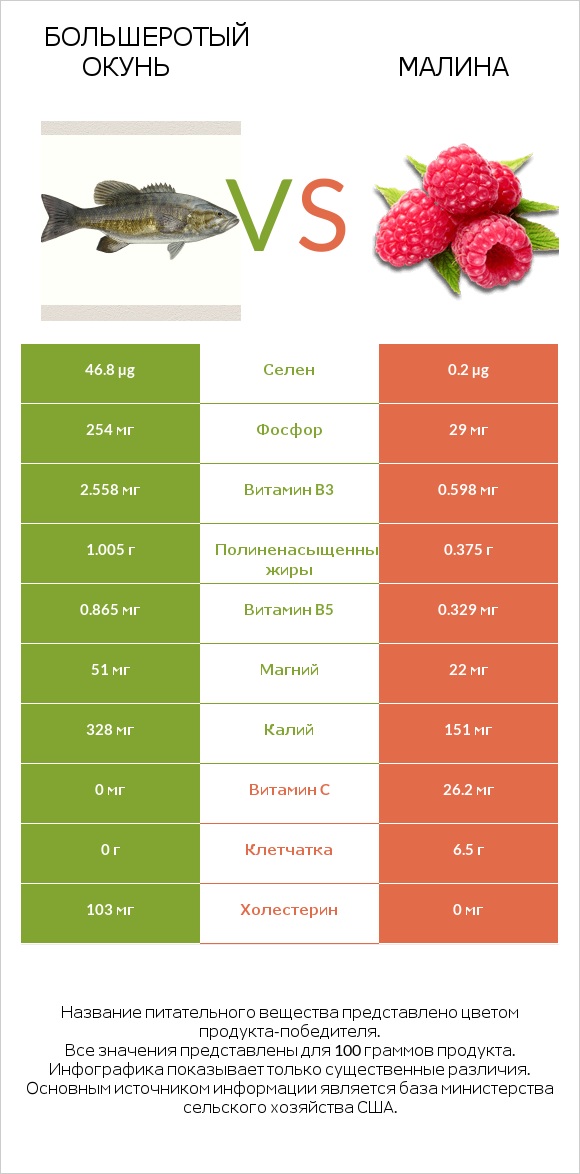 Большеротый окунь vs Малина infographic