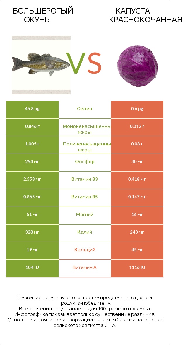 Большеротый окунь vs Капуста краснокочанная infographic
