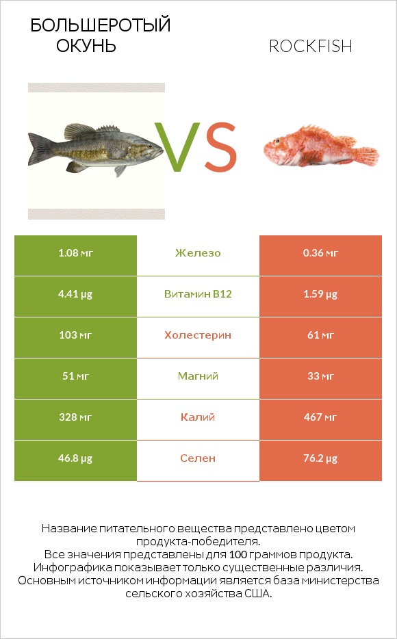 Большеротый окунь vs Rockfish infographic