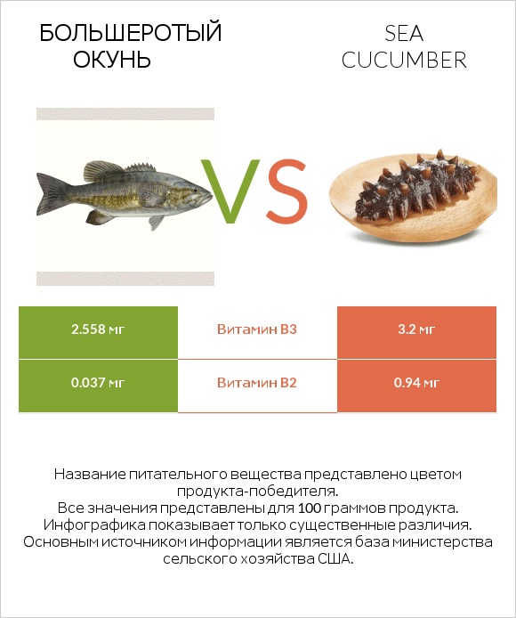 Большеротый окунь vs Sea cucumber infographic