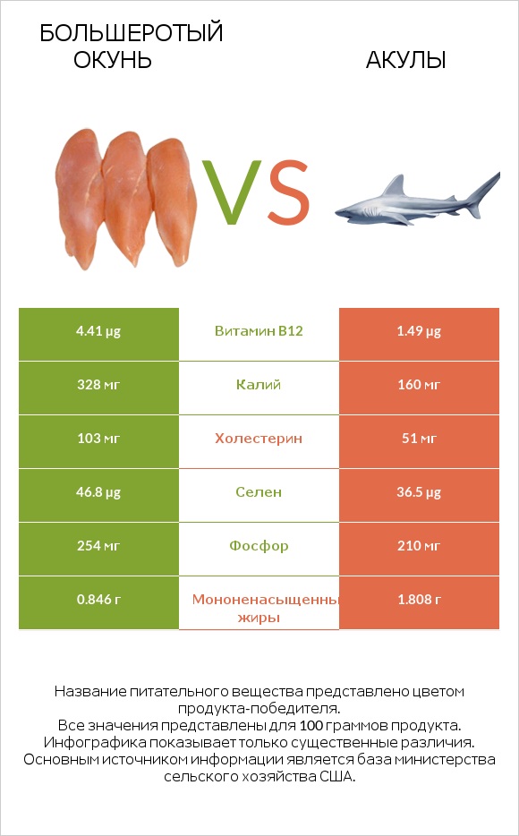 Большеротый окунь vs Акула infographic
