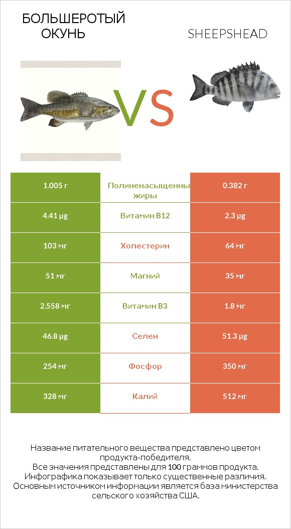 Большеротый окунь vs Sheepshead infographic