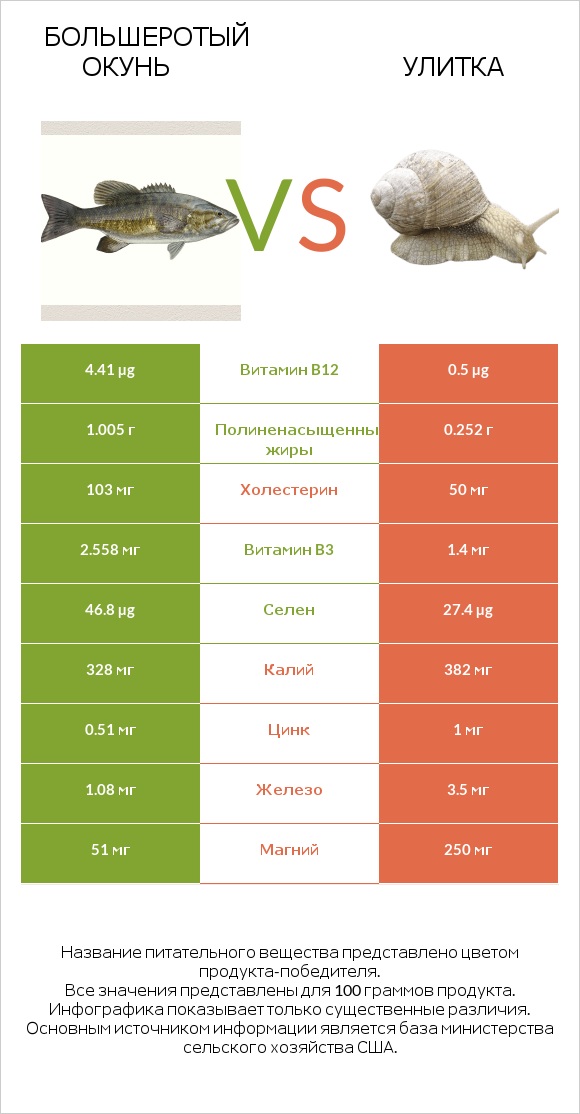 Большеротый окунь vs Улитка infographic