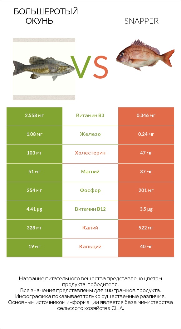 Большеротый окунь vs Snapper infographic