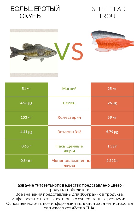 Большеротый окунь vs Steelhead trout infographic