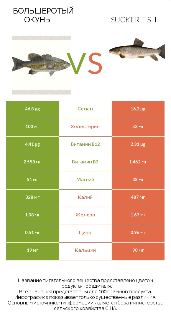 Большеротый окунь vs Sucker fish infographic