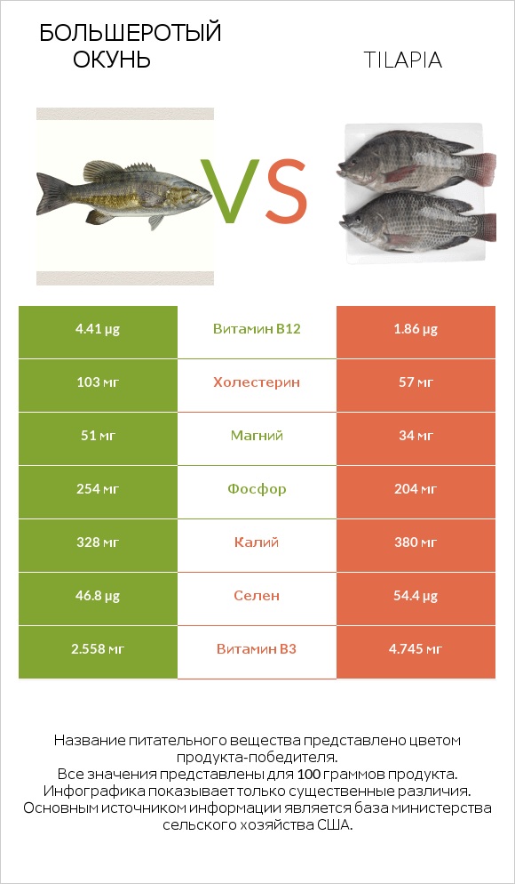 Большеротый окунь vs Tilapia infographic