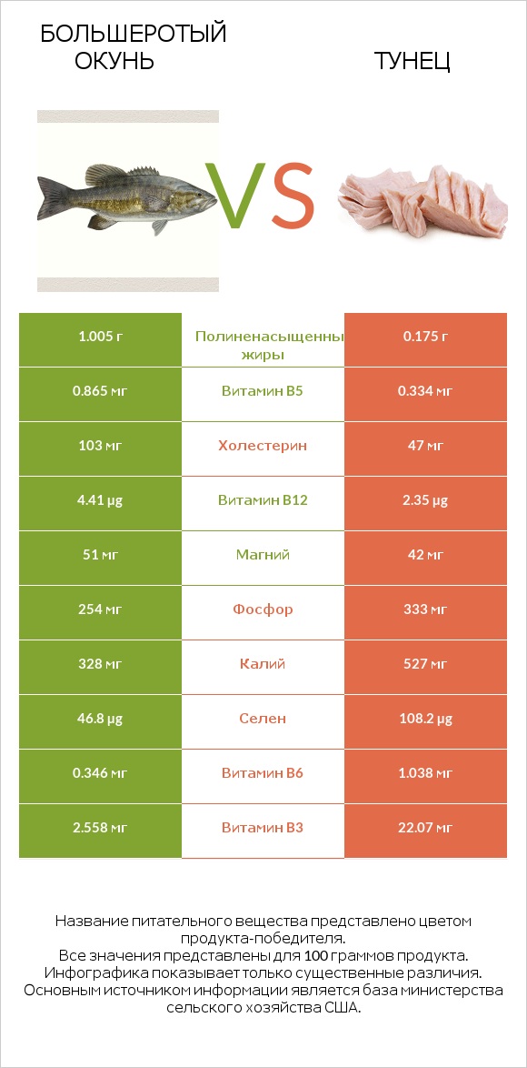 Большеротый окунь vs Тунец infographic