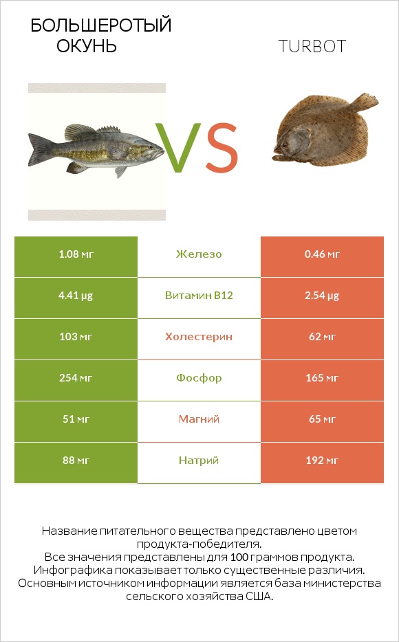 Большеротый окунь vs Turbot infographic