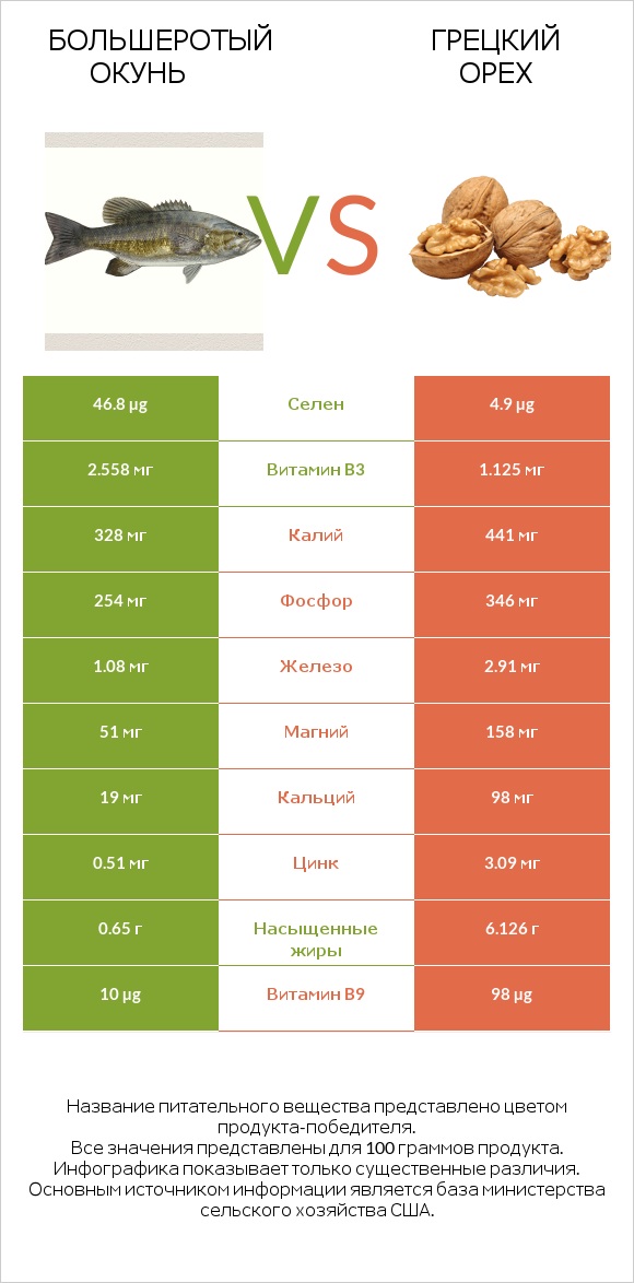 Большеротый окунь vs Грецкий орех infographic