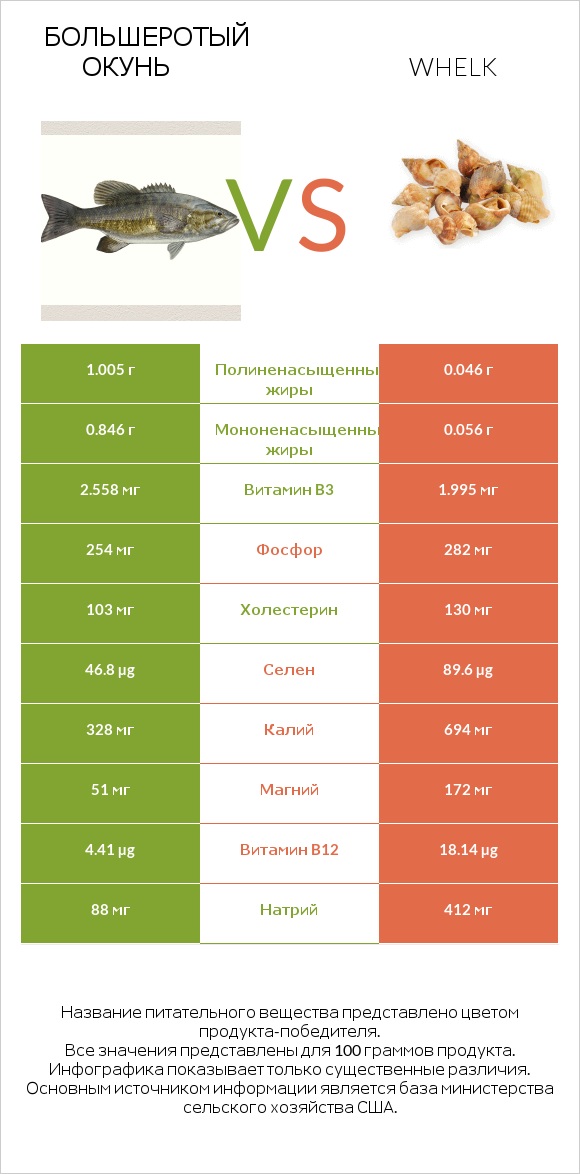 Большеротый окунь vs Whelk infographic