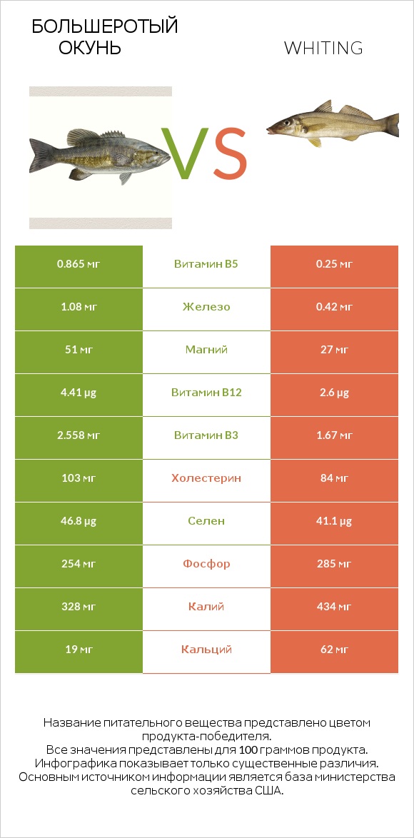 Большеротый окунь vs Whiting infographic