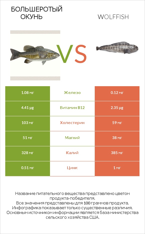 Большеротый окунь vs Wolffish infographic