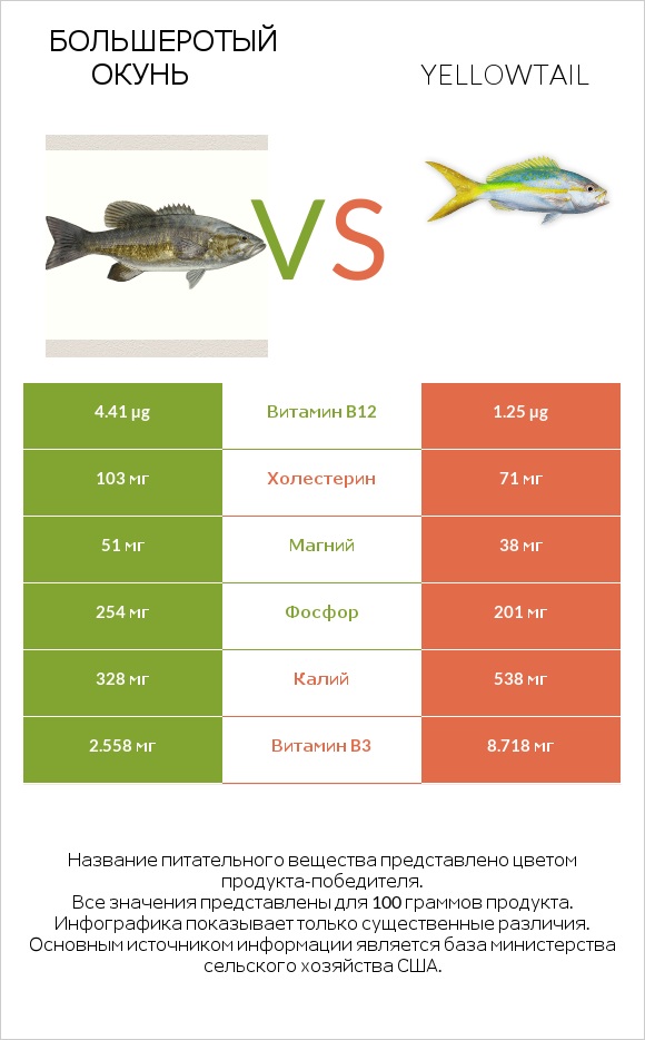 Большеротый окунь vs Yellowtail infographic