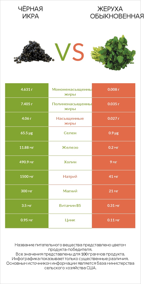 Чёрная икра vs Жеруха обыкновенная infographic