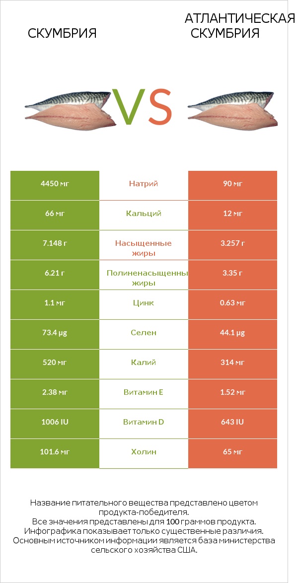 Скумбрия vs Атлантическая скумбрия infographic