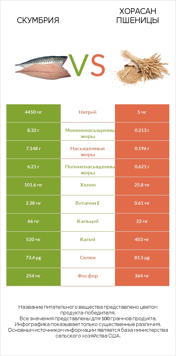 Скумбрия vs Хорасан пшеницы infographic