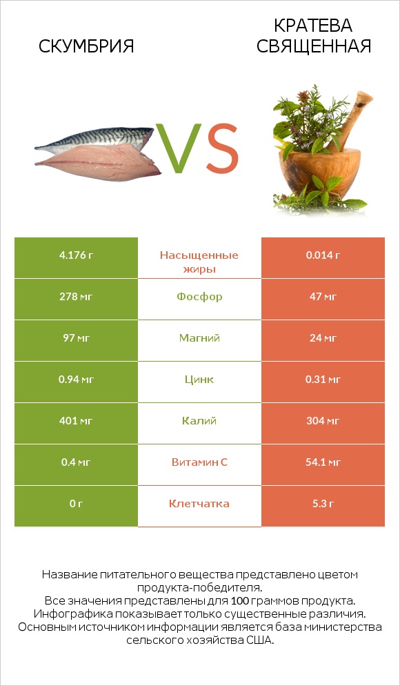 Скумбрия vs Кратева священная infographic