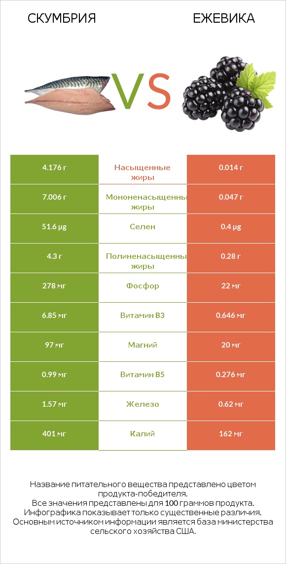 Скумбрия vs Ежевика infographic