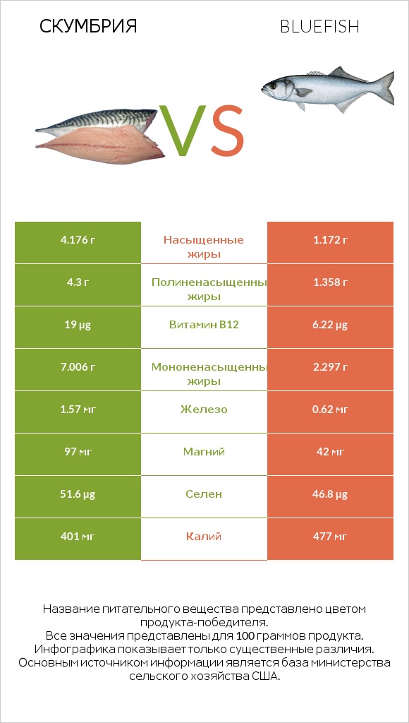 Скумбрия vs Bluefish infographic