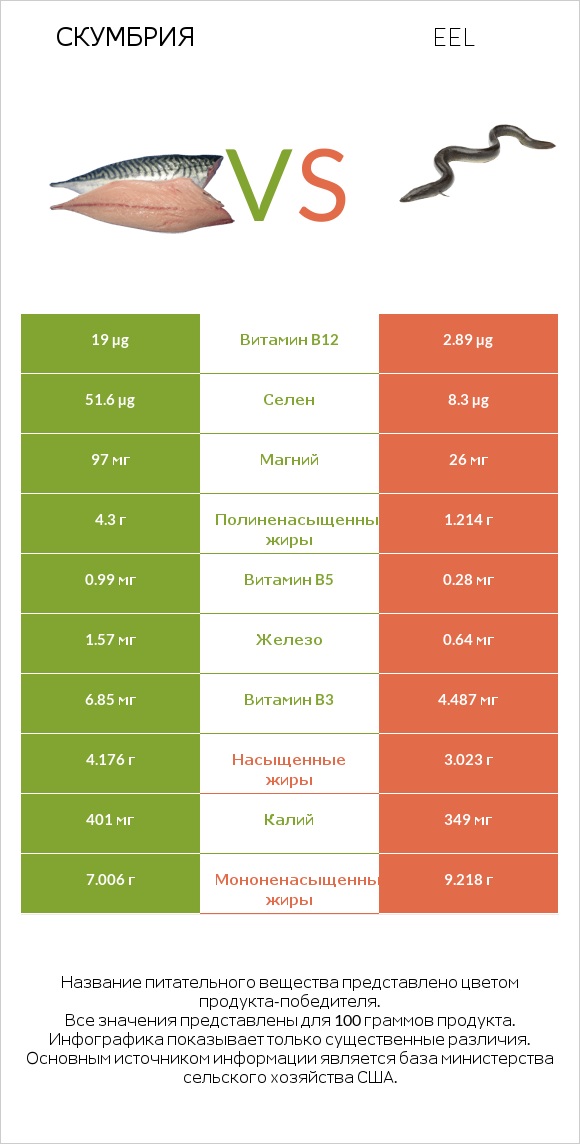 Скумбрия vs Eel infographic