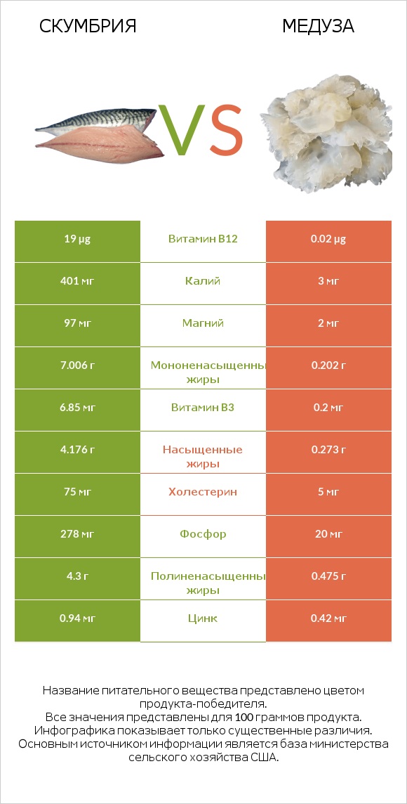 Скумбрия vs Медуза infographic