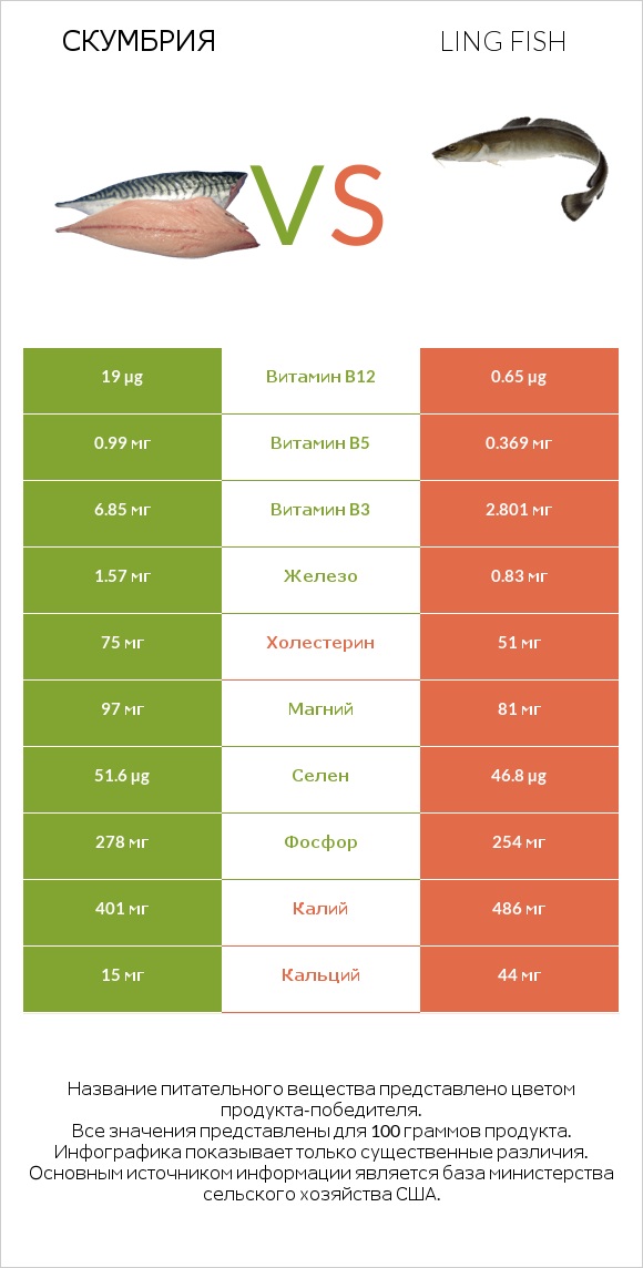 Скумбрия vs Ling fish infographic