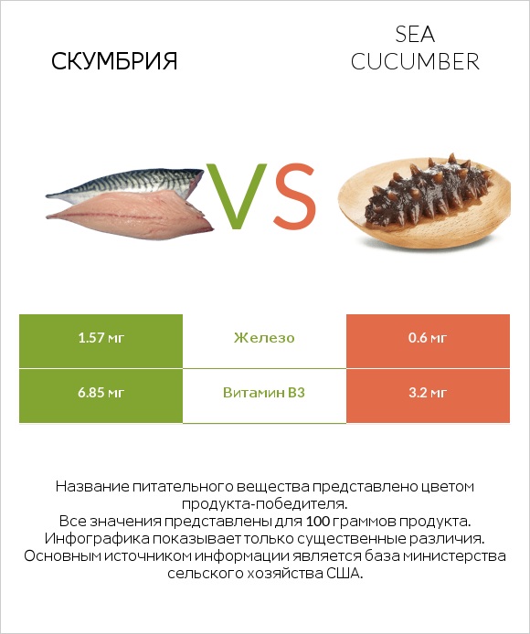 Скумбрия vs Sea cucumber infographic