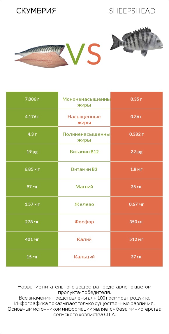 Скумбрия vs Sheepshead infographic