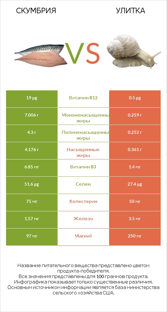 Скумбрия vs Улитка infographic