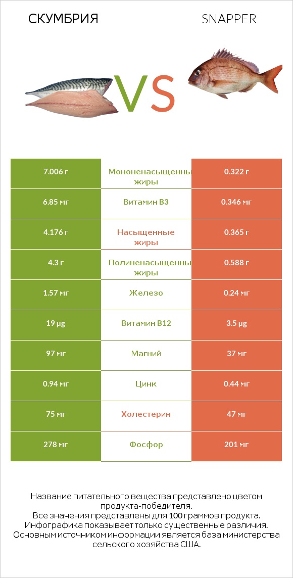 Скумбрия vs Snapper infographic