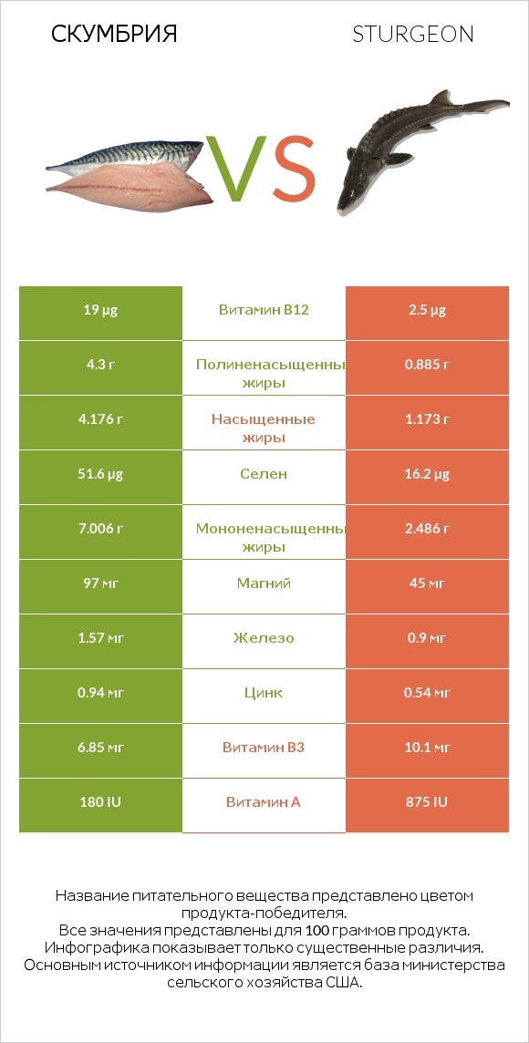 Скумбрия vs Sturgeon infographic