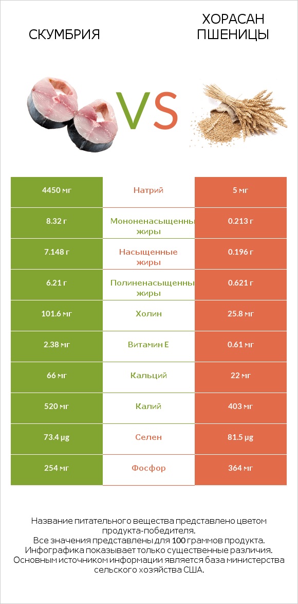 Скумбрия vs Хорасан пшеницы infographic