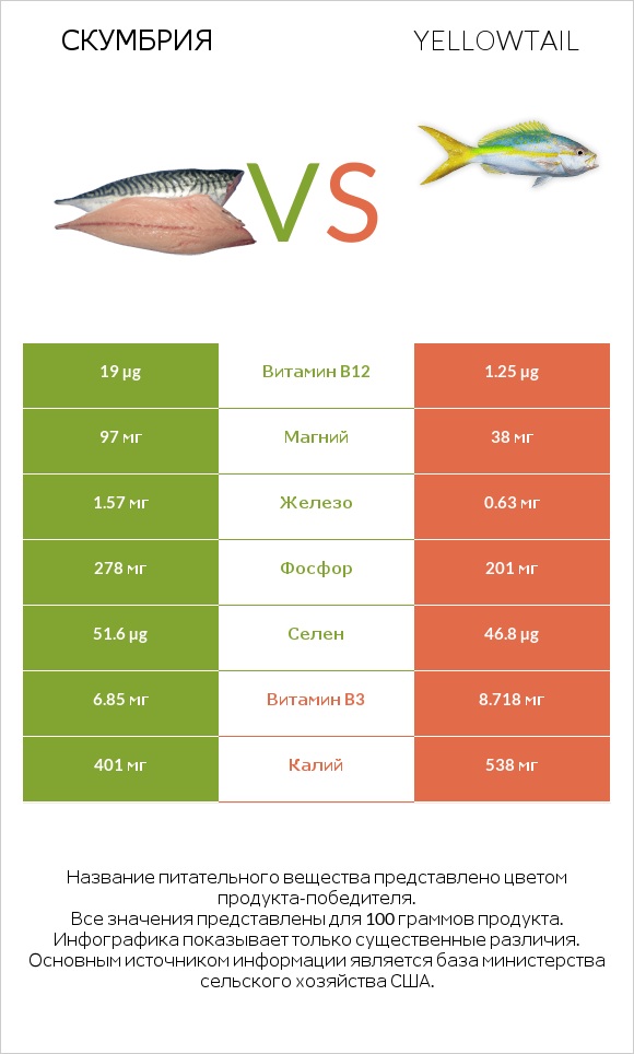 Скумбрия vs Yellowtail infographic