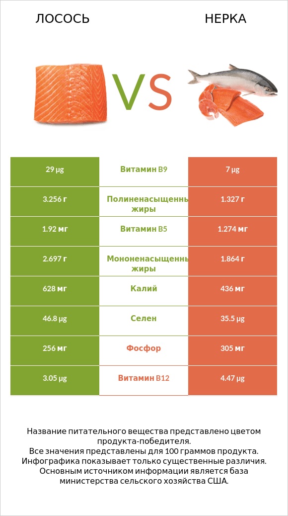 Лосось vs Нерка infographic