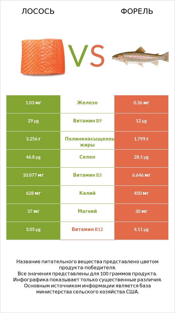 Лосось vs Форель infographic