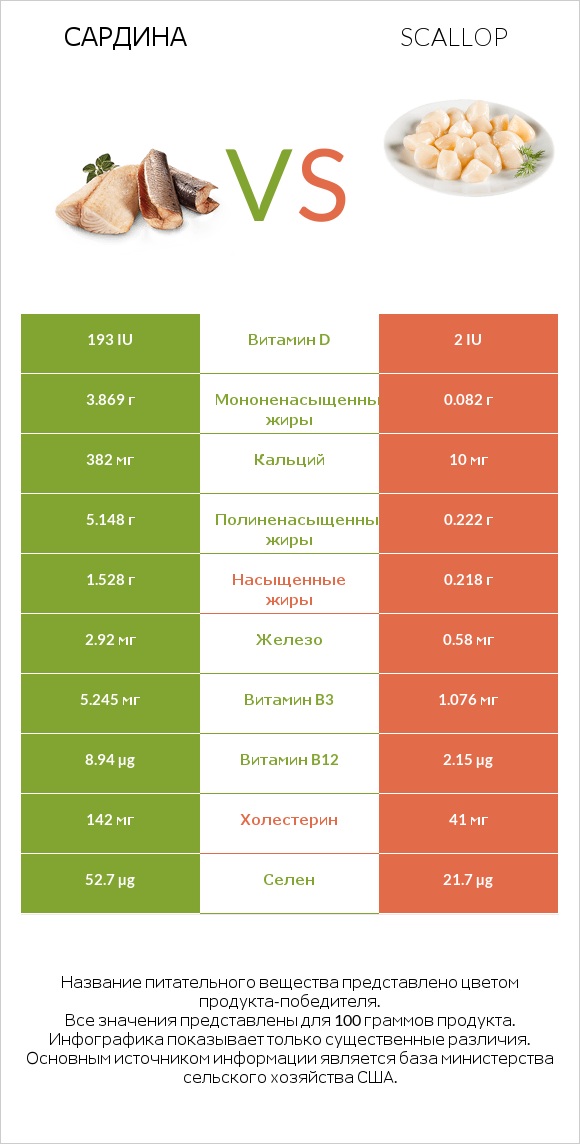 Сардина vs Scallop infographic