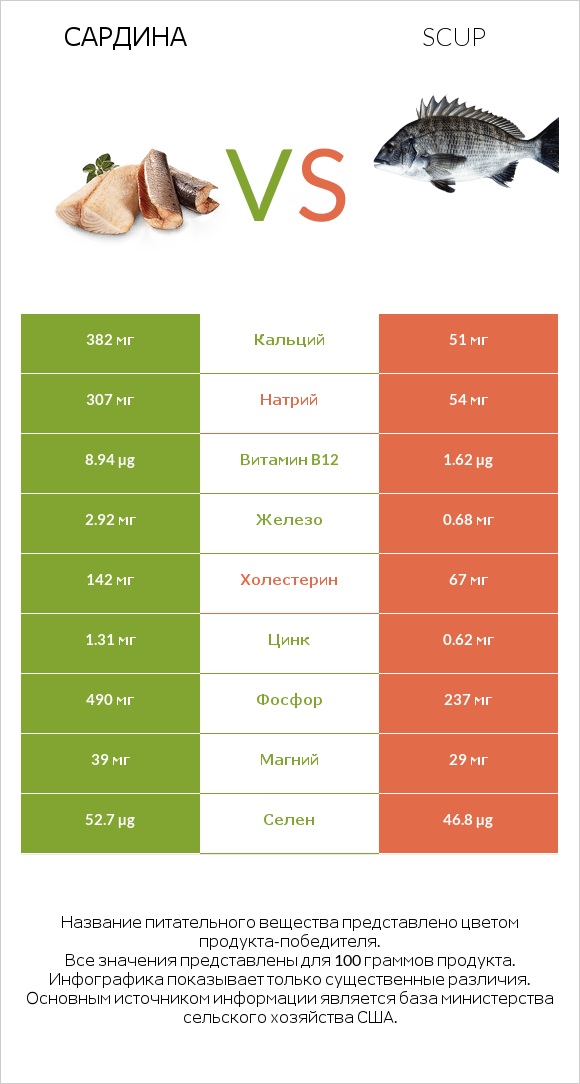 Сардина vs Scup infographic