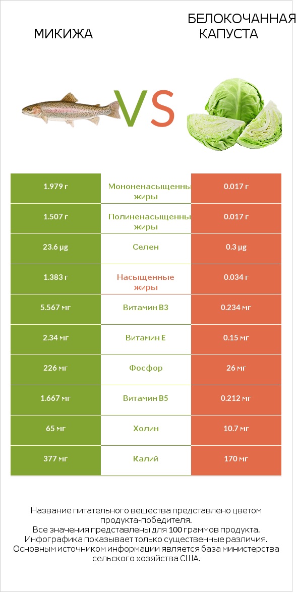 Микижа vs Белокочанная капуста infographic