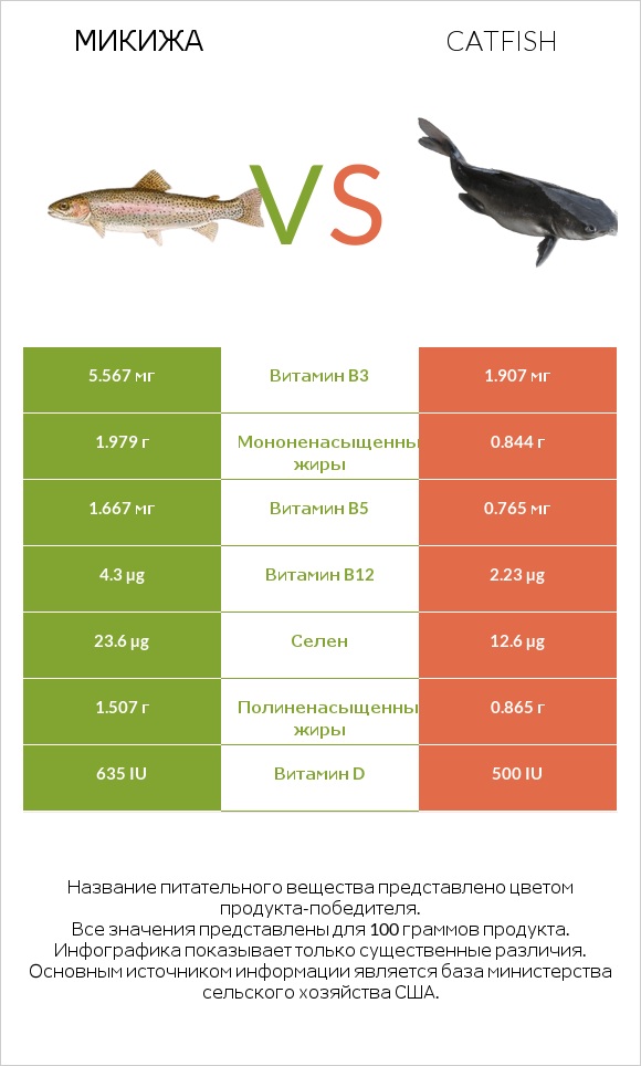 Микижа vs Catfish infographic
