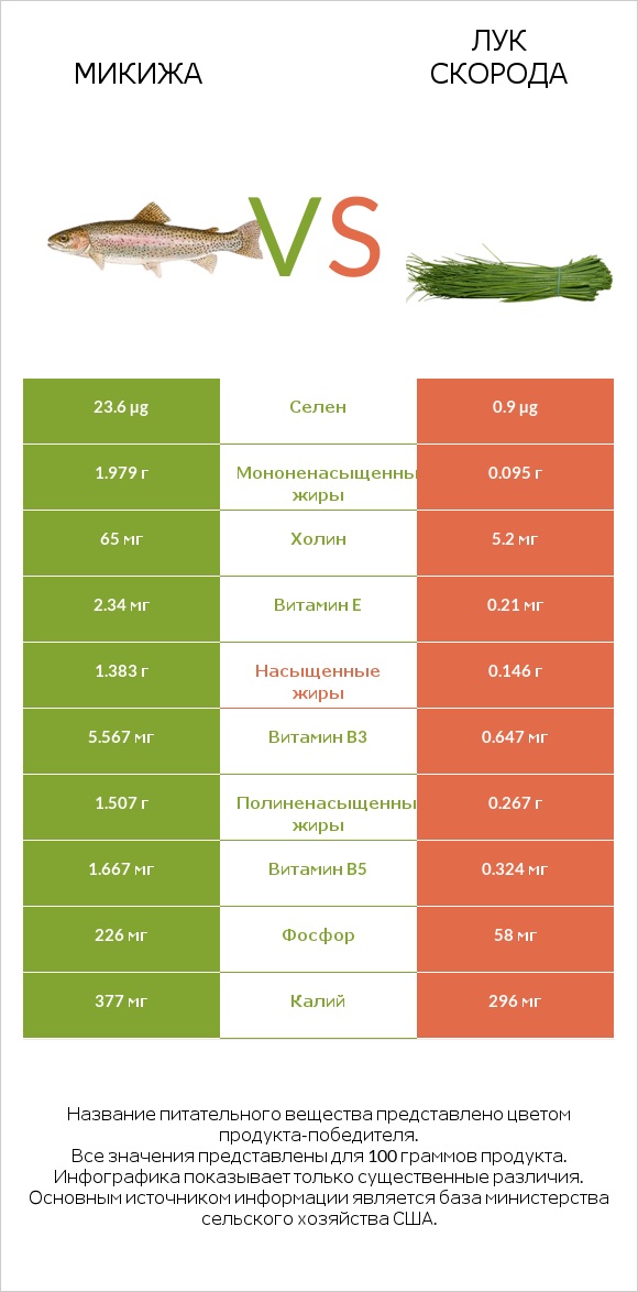 Микижа vs Лук скорода infographic