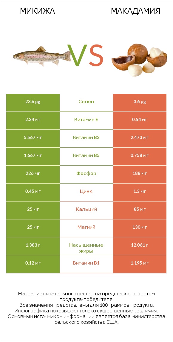Микижа vs Макадамия infographic