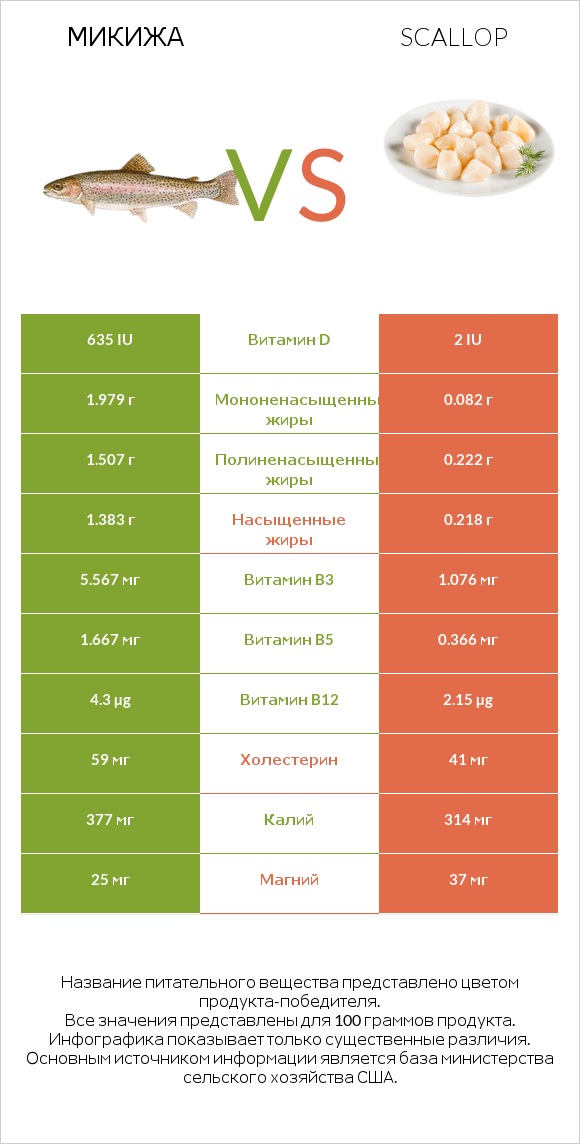 Микижа vs Scallop infographic