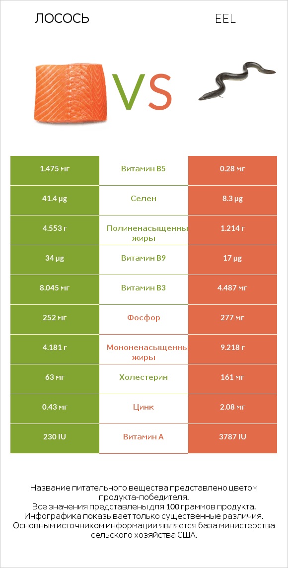 Лосось vs Eel infographic