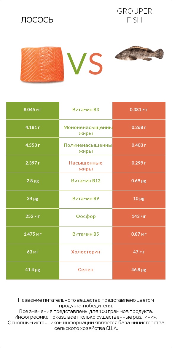 Лосось vs Grouper fish infographic