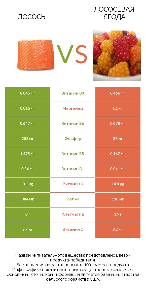 Лосось vs Лососевая ягода infographic